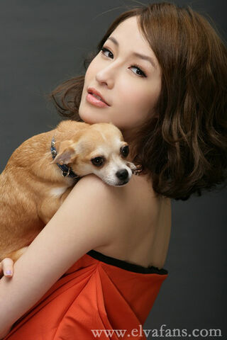 Archivo:Elva Hsiao11.jpg