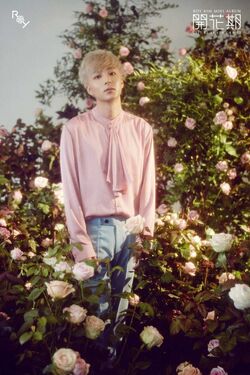 Roy Kim.jpg