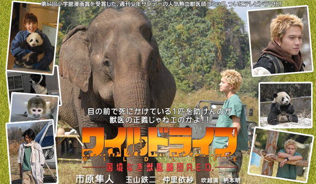 Archivo:WildLife.jpg