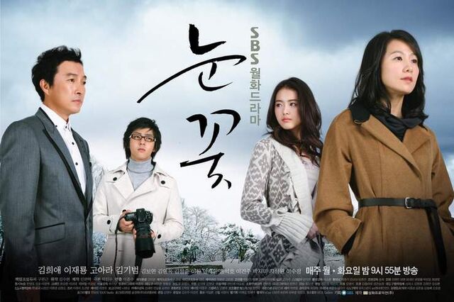 Archivo:Snowflower.jpg
