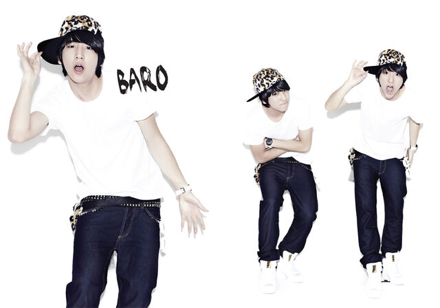 Archivo:Baro 1.jpg
