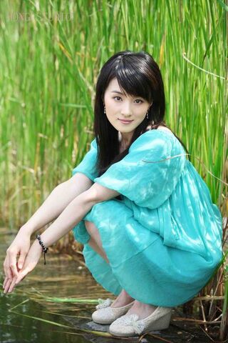 Archivo:Wu Ting2.jpg