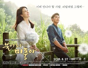 Blow Breeze-MBC-2016.jpg