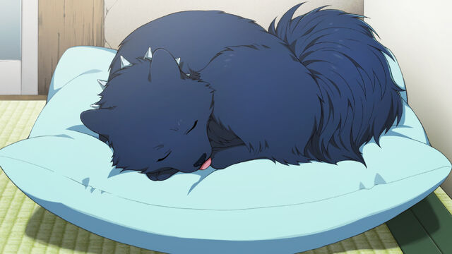 File:Ren sleeping .jpg