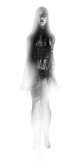 Concept ghost