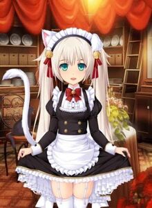 February Pack Bonus