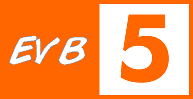 File:EVB5 Ident 2010.png