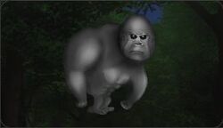 Gorilla