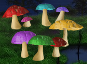 MagicMushroom