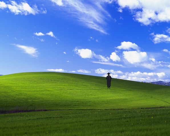 File:Bliss.jpg