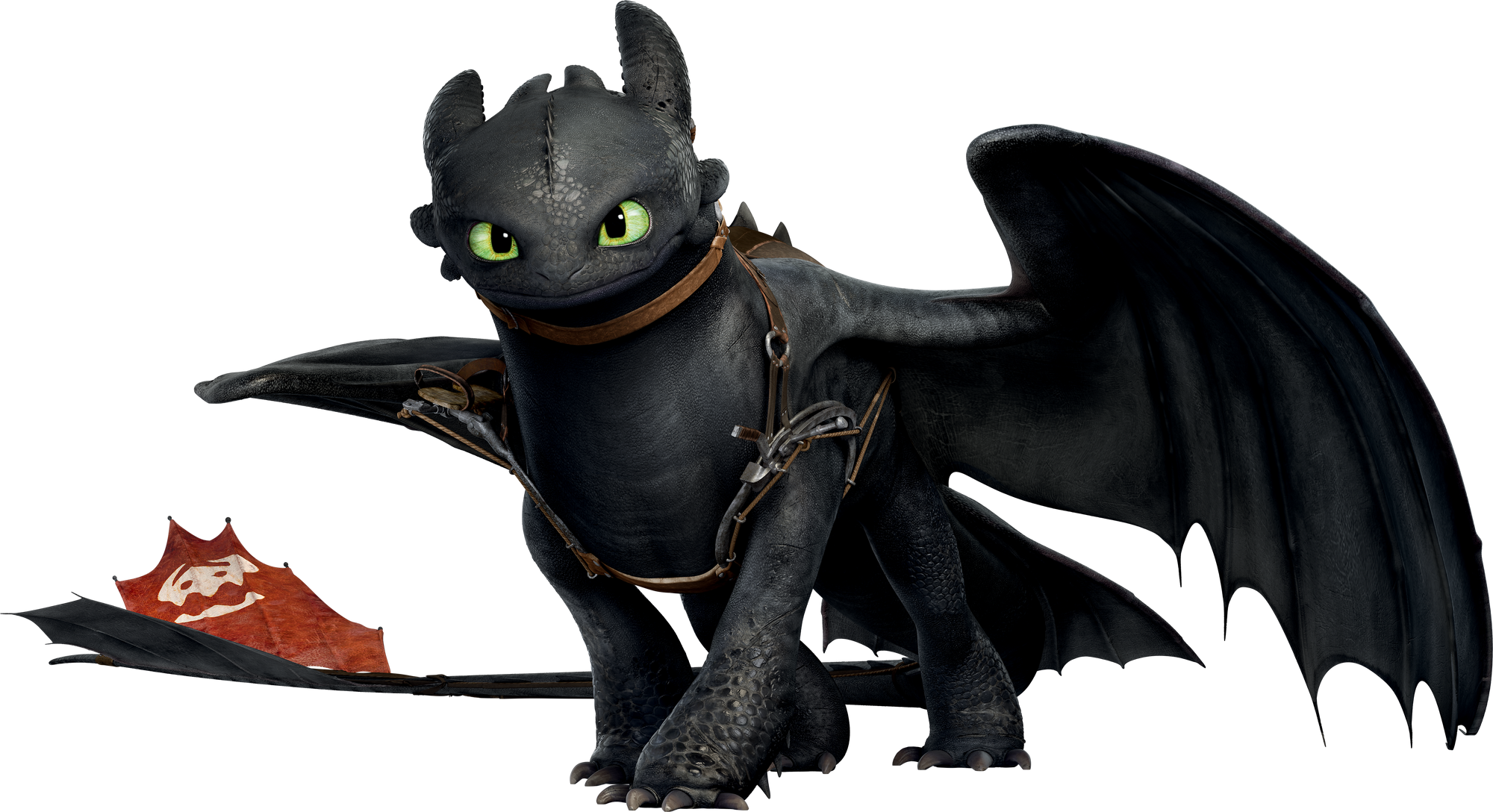 Toothless | Dreamworks Animation Wiki | FANDOM powered by Wikia