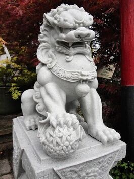 Temple Dog
