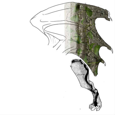 File:Skin guardian f dragon.jpg