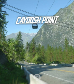 Cayoosh point large