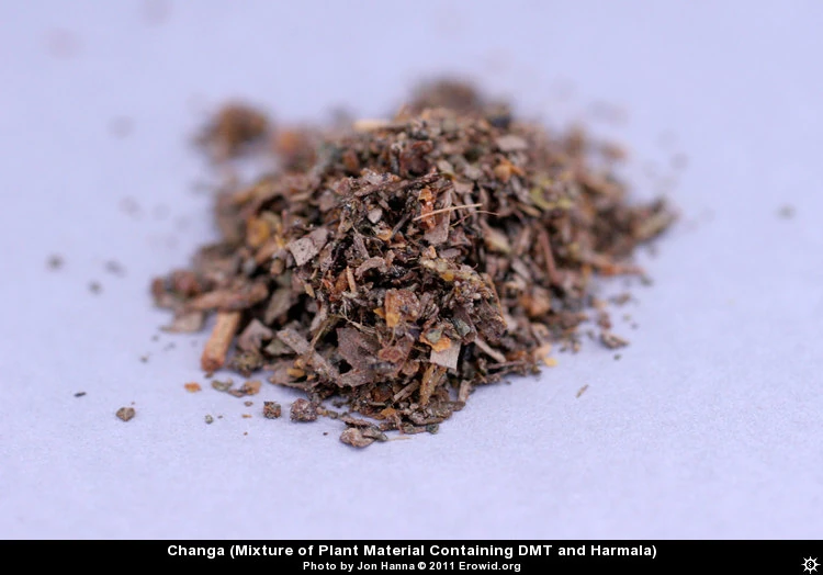 Changa Drogen Wiki FANDOM powered by Wikia