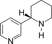 Anabasine.png