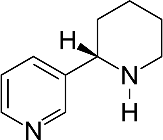Datei:Anabasine.png