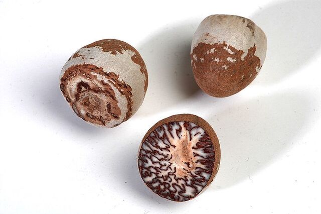 Datei:800px-Betel nuts3.jpg