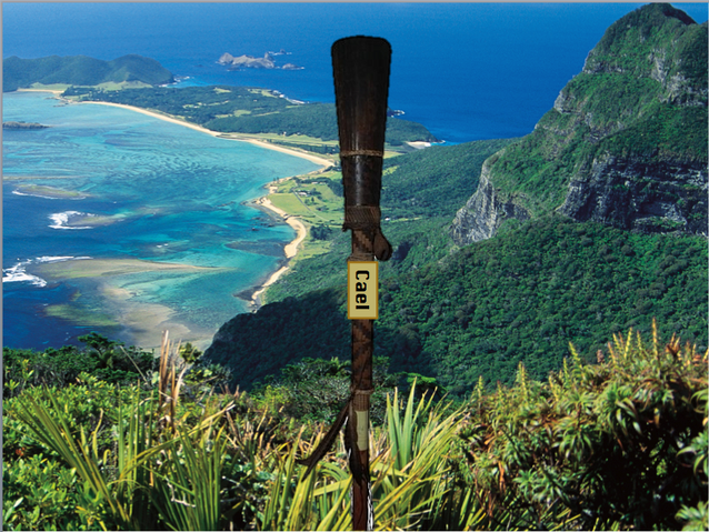 File:CaelTorch.png