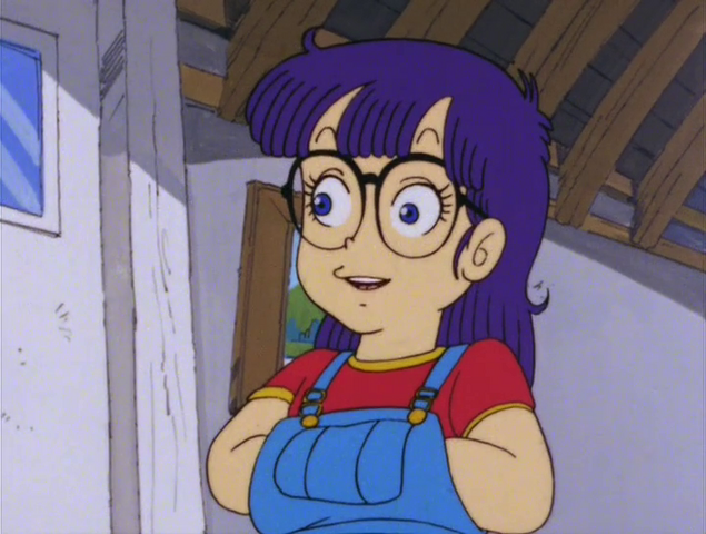 File:Akane Arale Disguise.png