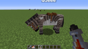 Zorse transforming