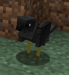 File:Black Bird.jpg