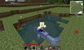 Thumbnail for version as of 20:06, May 2, 2013