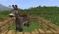 Thumbnail for version as of 09:35, November 25, 2012