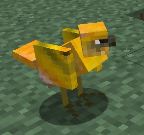 File:Yellow Bird.jpg