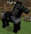 Thumbnail for version as of 08:14, December 12, 2012