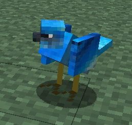 File:Blue Bird.jpg