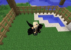 Ostrich  Mo' Creatures Wiki  FANDOM powered by Wikia