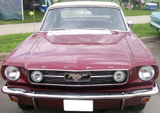 File:Test - Mustang.jpg