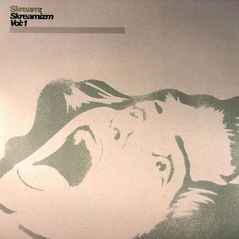 File:Skreamizm Vol 1.jpg