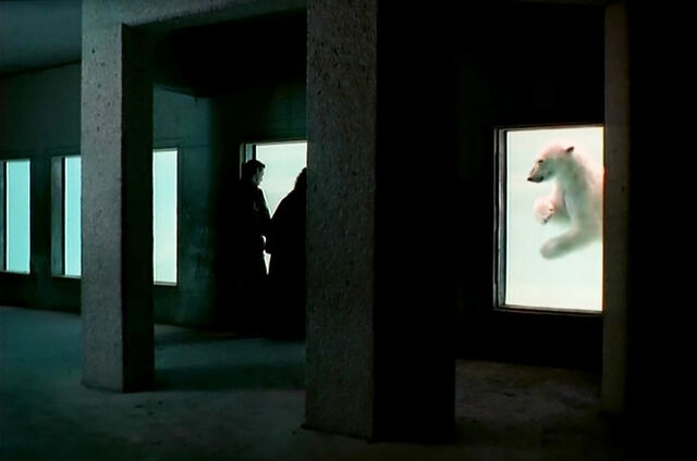 File:Zoo Victoria's Secret.jpg