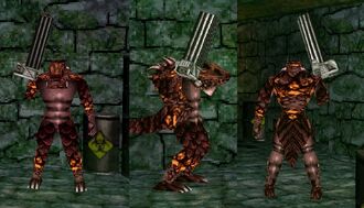 HeavyDrakkDNTTK