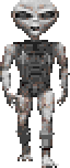 Grey