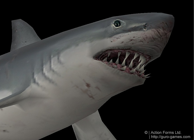 File:Shark2.png