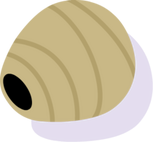 NestofWasp.png