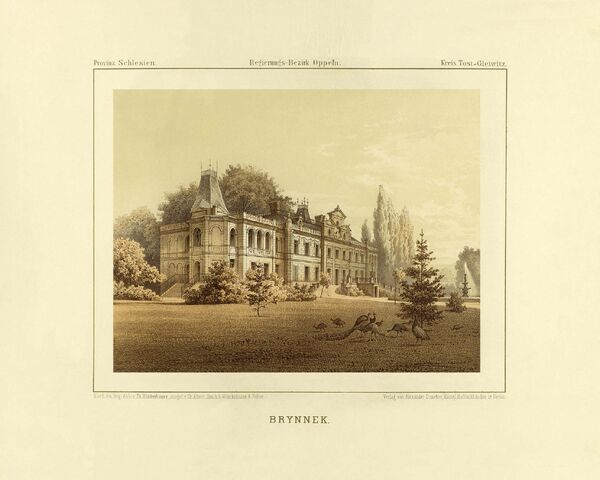 Plik:Brynnek.jpg