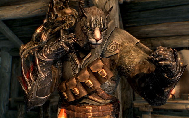 File:Khajit are fierce.jpg