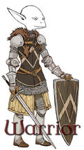 DaD Warrior Class