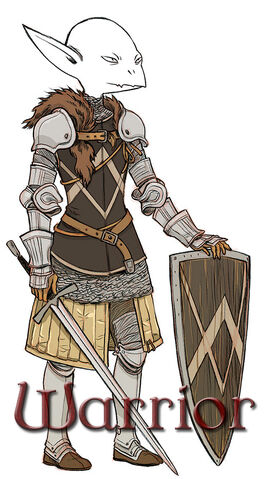 File:DaD Warrior Class.jpg