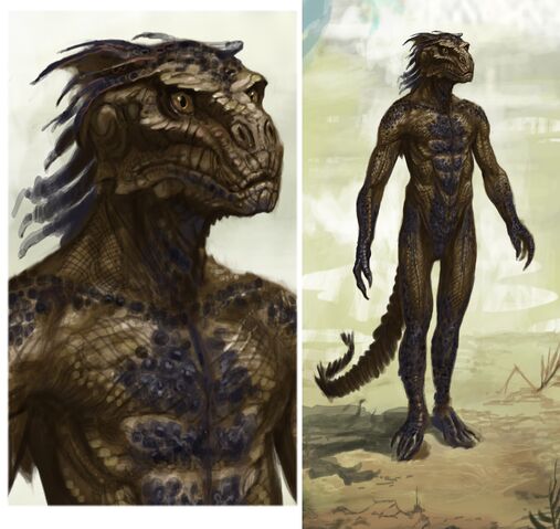 File:Argonian Male.jpg