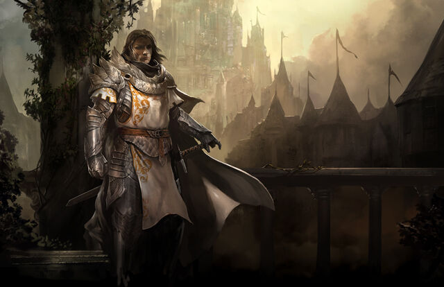 File:User Knighthonor Paladin.jpg