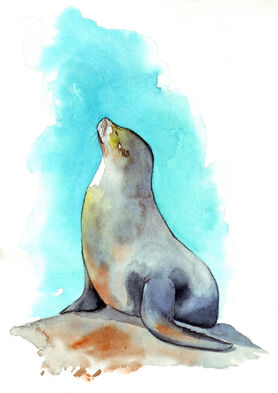 Seal