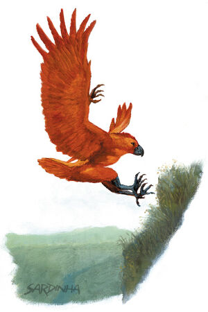 File:MonFaePG11.jpg