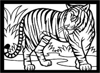 Tiger rdax 65