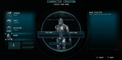 Character Creation Naming.