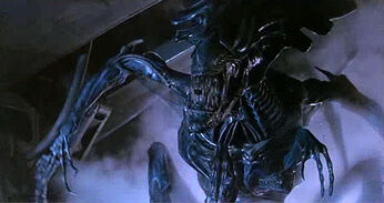 Aliens-11